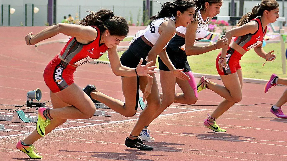 Atletidsmo 1 - Codeson